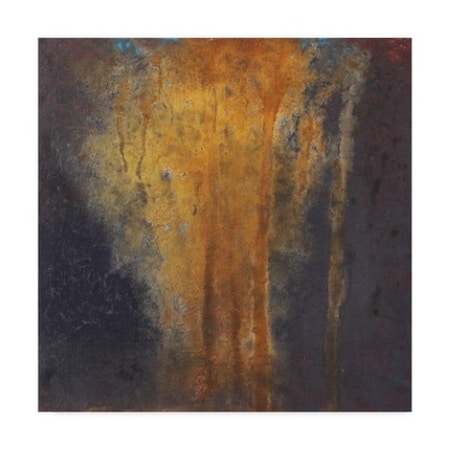 Ch Studios 'Rusted Falls 2' Canvas Art,24x24